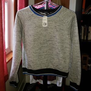 Gray Sweatshirt NWT